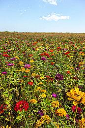 分析师：2026年春季前 Switch 2在全球都会缺货